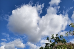 1715787751-微信图片_20240515234127-scaled