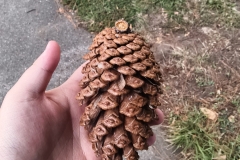 1715787771-微信图片_20240515234145-scaled