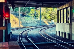 1716734183-4863C5F386EEFEE95EBBC5BA30C91B24